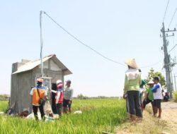 Program Electrifying Agriculture PLN Tumbuh 22,28 Persen di Semester 1 Tahun 2023