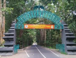 Alas Purwo Misteri dan Angker di Balik Kawasan Taman Nasional Jawa Timur