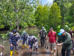 PLN Peduli: Penanaman Bibit Mangrove Bersama Lantamal VIII Manado dalam Rangka Hari Kemerdekaan RI ke-78