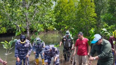 PLN Peduli: Penanaman Bibit Mangrove Bersama Lantamal VIII Manado dalam Rangka Hari Kemerdekaan RI ke-78