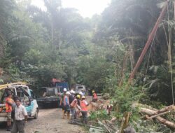 Aksi Sigap Petugas PLN Tangani Gangguan Kelistrikan Akibat Longsor di Kampung Betau