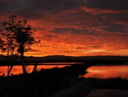 “Jingga di Tepi Senja”