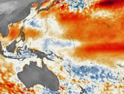 Pemerintah Kotamobagu Imbau Kewaspadaan Terhadap Fenomena El Nino dan Ancaman Kebakaran