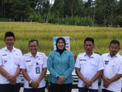 Pemerintah Kabupaten Bolaang Mongondow Timur (Boltim) Mendistribusikan Bibit Ikan Nila kepada Kelompok Penerima Bantuan