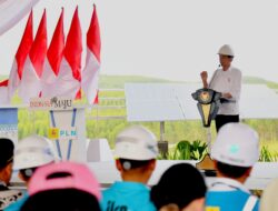 Dampingi Kunjungan Presiden di IKN, Dirut PLN Siap Penuhi Kebutuhan Listrik Dari Energi Bersih