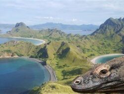 Cagar Alam Pulau Komodo: Melindungi Keberagaman Hayati dan Keajaiban Hewan Purba