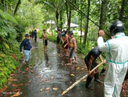 Tanggap Cepat PLN dalam Menghadapi Gangguan Kelistrikan di Pulau Siau Akibat Cuaca Ekstrem dan Banjir Lava