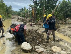 PLN Tangani Gangguan Kelistrikan Akibat Cuaca Ekstrem di Sulawesi Tengah
