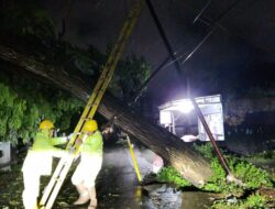 PLN Sigap Amankan Instalasi Listrik dan Keselamatan Warga Saat Banjir Besar di Gorontalo