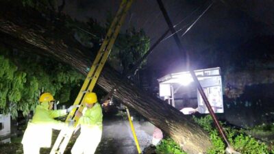 PLN Sigap Amankan Instalasi Listrik dan Keselamatan Warga Saat Banjir Besar di Gorontalo