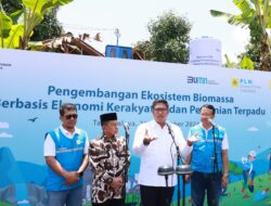 Ubah Lahan Kritis Jadi Hijau dan Produktif, PLN Kembangkan Ekosistem Biomassa Berbasis Pertanian Terpadu