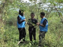 PLN Dorong Pengembangan Biomassa di Tasikmalaya: Ekonomi Masyarakat Meningkat, Lingkungan Terjaga