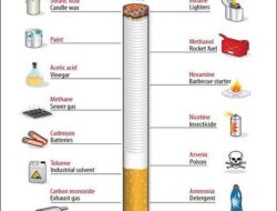 Manfaat dan Dampak Rokok bagi Kehidupan Manusia