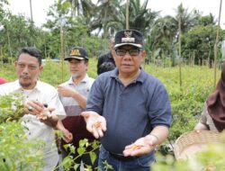 Pj. Wali Kota Kotamobagu Abdullah Mokoginta Pantau Ketersediaan Produksi Pangan di Kotamobagu