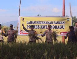 Polres Kotamobagu Gelar Panen Raya Padi dan Program Penanaman Cabai Bersama Dinas Pertanian untuk Ketahanan Pangan