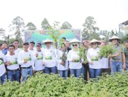 Wali Kota Weny Gaib Bersilaturahmi dengan Petani Nilam dan Serahkan Kartu BPJS Ketenagakerjaan di Desa Bungko