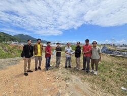 Dukung Investasi Perikanan Tolitoli, PLN Siap Suplai Listrik Andal dan Berkelanjutan untuk Industri Tambak Udang