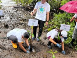 PLN UP3 Tahuna Tanam 250 Bibit Mangrove, Wujudkan Komitmen Lingkungan di Hari Lingkungan Hidup Sedunia