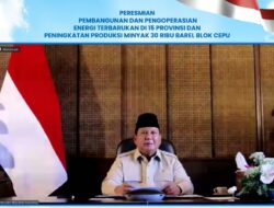 47 PLTS Diresmikan Presiden, 5.383 Rumah Tangga di Wilayah 3T Kini Menikmati Listrik Bersih