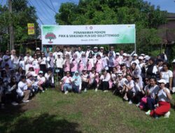 Rayakan Hari Lingkungan Hidup, Srikandi dan PIKK PLN UID Suluttenggo Tanam 120 Pohon untuk Masa Depan Hijau