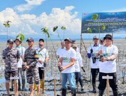 Hijaukan Pesisir, PLN UP3 Tolitoli Tanam 5.000 Pohon Mangrove Lindungi Pantai dari Abrasi