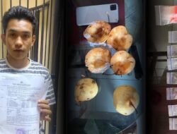 Modus Buah Pir! Sat Resnarkoba Polres Kotamobagu Gagalkan Pengiriman Sabu ke Bitung