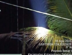 Pelepah Kelapa dan Ular Naik Jaringan SUTM, PLN UP3 Kotamobagu Pastikan Tak Ada Pemadaman Bergilir