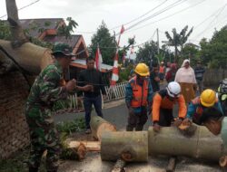Babinsa, BPBD, dan PLN Gerak Cepat Bersihkan Pohon Tumbang di Bilalang Dua