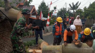 Babinsa, BPBD, dan PLN Gerak Cepat Bersihkan Pohon Tumbang di Bilalang Dua