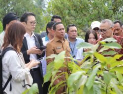 Perkuat Sektor Pertanian Kakao, Wali Kota Kotamobagu Sambut Investor Jepang untuk Kerja Sama Strategis