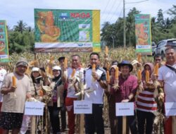 Kapolres Kotamobagu Dukung Sinergi Polri dan Swasta: Panen Jagung Boyaya Jadi Bukti Kemitraan Produktif