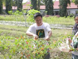 Wali Kota Kotamobagu Dukung Panen Cabai di RSUD: Kesehatan dan Ketahanan Pangan Harus Berjalan Seiring