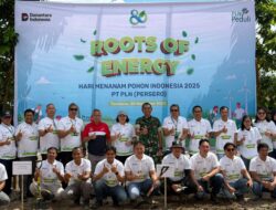 PLN Tanam 3.700 Pohon di Sulawesi Utara, Perkuat Fondasi Transisi Energi Berkelanjutan