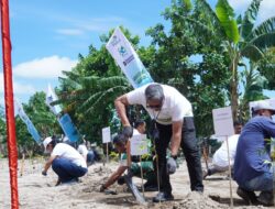 Aksi Hijau PLN: 3.700 Pohon Ditanam di DAS Tondano dan PLTU Amurang untuk Pulihkan Lingkungan