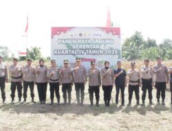 Wakapolres Kotamobagu Pimpin Panen Raya Jagung, Tegaskan Komitmen Polri Dukung Swasembada Pangan