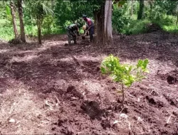 Babinsa Turun ke Sawah, TNI AD Perkuat Ketahanan Pangan dari Desa Linawan