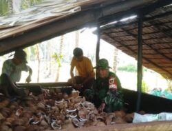 Babinsa Dudepo Turun Olah Kopra, Serka Alan Mohune Hadirkan Semangat Kemanunggalan TNI dan Rakyat