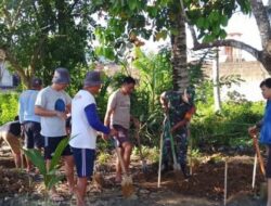 Babinsa Dumoga Bantu Bangun Pondasi Balai Banjar, Wujud Nyata Kemanunggalan TNI dan Rakyat
