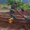 Babinsa Turun ke Sawah, Tumbuhkan Harapan Petani Bawang Merah di Desa Dulangon