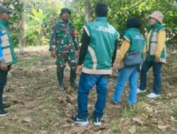Langkah Mantap Babinsa di Pematang Sawah, Jaga Asa Petani Jelang Panen di Passi Timur