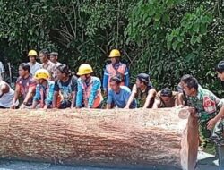 Babinsa Lolak Gerak Cepat Evakuasi Pohon Tumbang di Labuan Uki, Akses Jalan Kembali Normal
