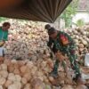 Di Tengah Tumpukan Kelapa, Babinsa Kotamobagu Timur Bangkitkan Semangat Petani Kopra