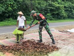 Babinsa Kotabunan Selatan Bantu Jemur Kopra, Wujud Nyata Kemanunggalan TNI dan Rakyat