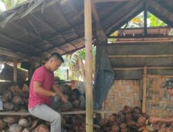 Babinsa Bolangitang Turun Bantu Produksi Kopra, Perkuat Ketahanan Ekonomi Warga Binjeita