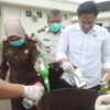 Kejari Kotamobagu Musnahkan 44,94 Gram Sabu dan Ratusan Miras, Tegaskan Komitmen Penegakan Hukum
