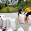 Babinsa Turun Tangan di Motabang, Satu Ton Gabah Siap Pasar Perkuat Ketahanan Pangan Bolmong