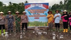 Tanam Raya Jagung Serentak Digelar di Bolsel, Perkuat Program Swasembada Pangan Nasional