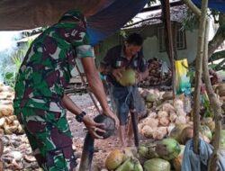 Babinsa Turun Tangan! Serma I Gede Subaga Bantu Warga Kupas 500 Kelapa di Baturapa Dua