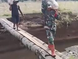 Babinsa Turun ke Ladang! Serka Jenson Wowor Bantu Petani Panen 4 Ton Jagung di Pindol