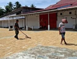 Pererat Kebersamaan di Desa Tungoi Satu, Babinsa Lolayan Turun Tangan Bantu Petani Jemur Padi